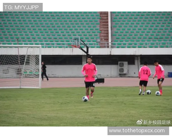 新乡足球明星的崛起与成就探秘，谁是这座城市的骄傲之星